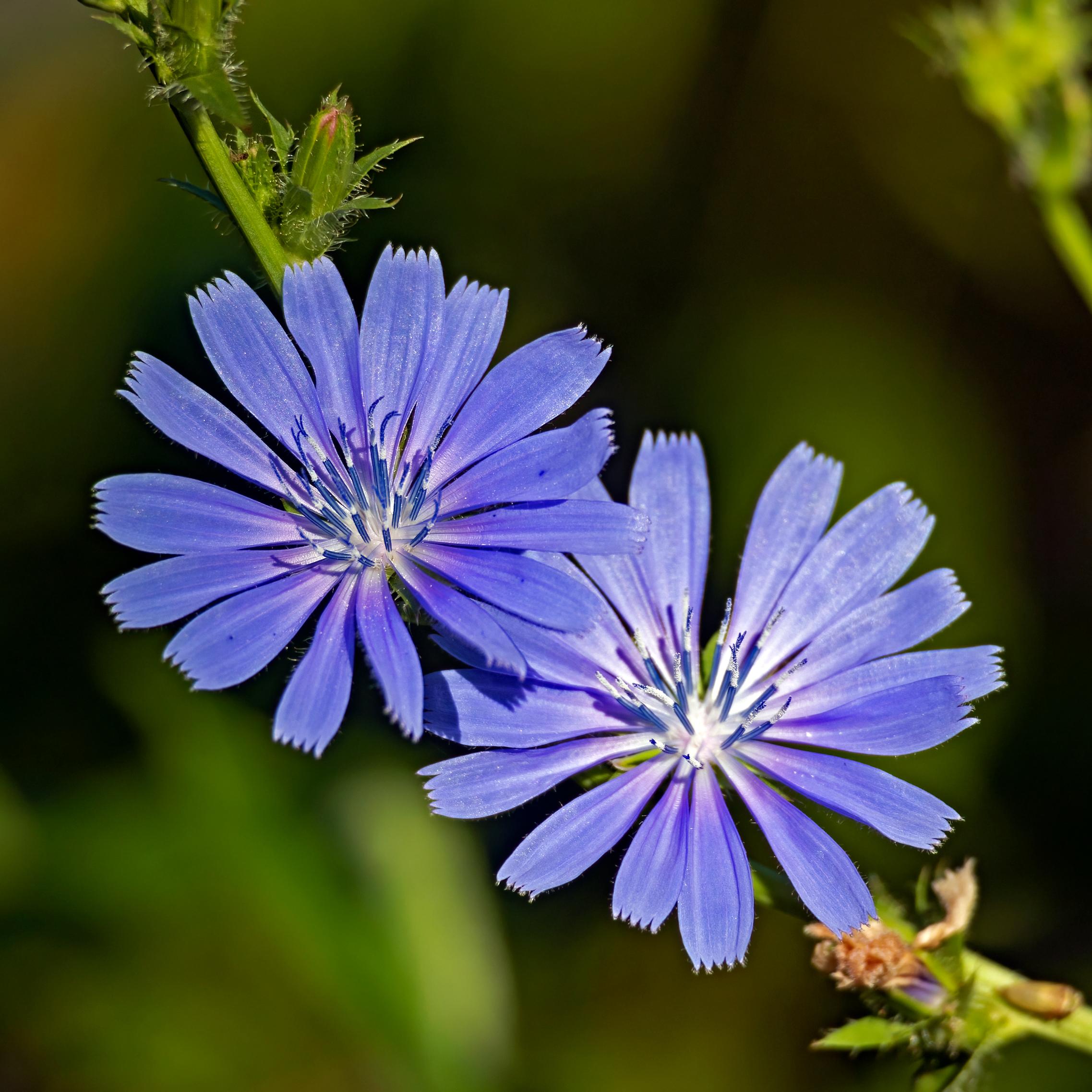 The Caloric Conundrum Navigating Additives in Your Cup