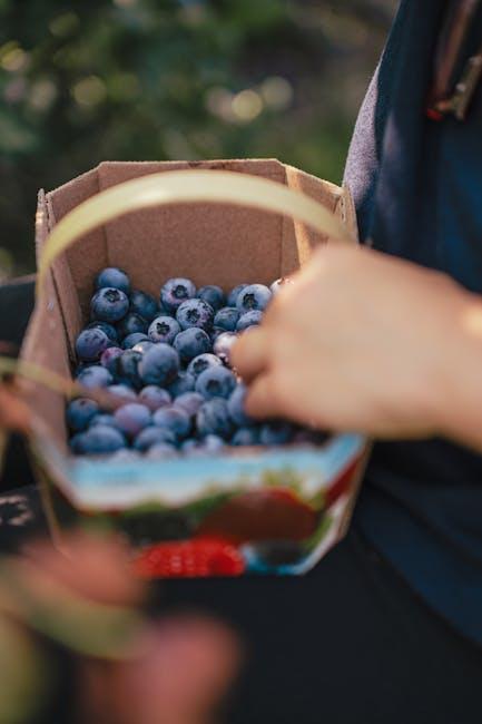 Boost Your Health with Vibrant Antioxidant Elixirs