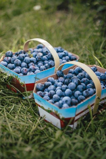 Exploring Soluble and Insoluble Fiber: What’s the Difference?