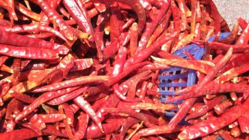 Delicious Stuffed Peppers with a Twist