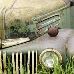 Are Food Trucks a Threat to Traditional Restaurants in Austin