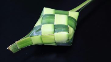 Where to find traditional French bistros in Paris