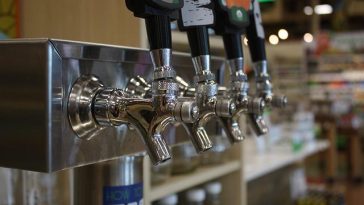 Does Kombucha Really Improve Gut Health