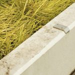 Grass-Fed vs. Grain-Fed Beef: What’s Healthier