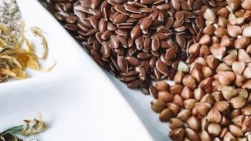 Should Vegetarians Be Concerned About Protein Intake