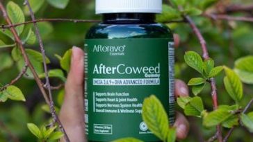 The best foods to support a healthy immune system