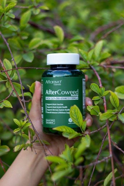 The best foods to support a healthy immune system
