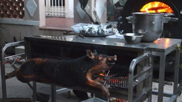 Factory-Farmed Meat vs. Local Meat: Is There a Difference