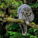 The Importance of Daily Stretching Exercises