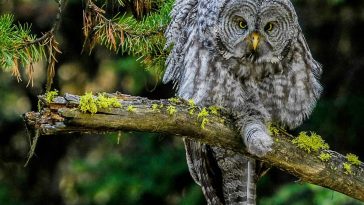 The Importance of Daily Stretching Exercises