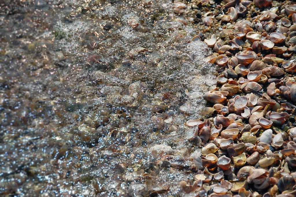 Balancing ⁣Global Chains ‍and ‍Local Eateries