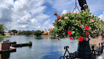 Where to Find Authentic Italian Cuisine in Rome