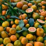 Foods that promote healthy skin naturally