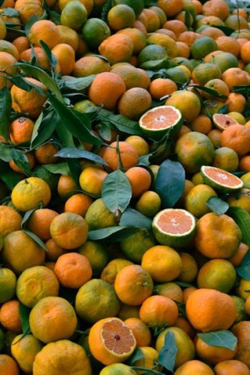 Foods that promote healthy skin naturally