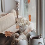 Savory Hot Dog Ideas for a Twist on a Classic