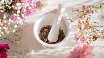 Natural remedies for boosting immunity