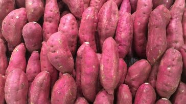Flavorful Ways to Use Sweet Potatoes in Meals