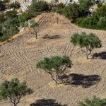 Mediterranean salad with high-protein ingredients