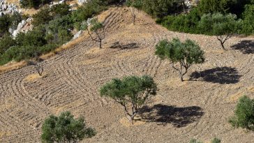 Mediterranean salad with high-protein ingredients