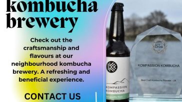 How to make probiotic-rich kombucha at home