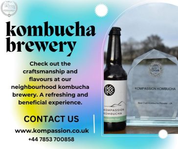 How to make probiotic-rich kombucha at home