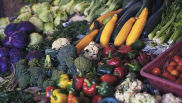 The Role of Carbs in a Healthy Diet