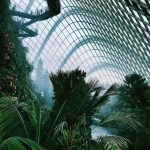 The Ethics of All-You-Can-Eat Buffets in Singapore