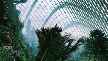 The Ethics of All-You-Can-Eat Buffets in Singapore