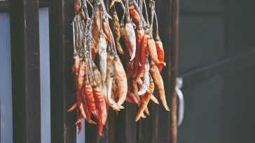 How to make stuffed peppers with rice and veggies