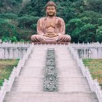 How to create a balanced plant-based Buddha bowl