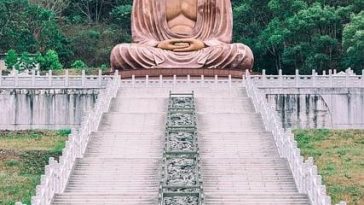 How to create a balanced plant-based Buddha bowl