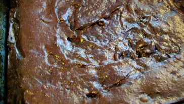 Are High-Protein Vegetarian Diets Healthy