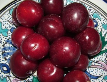 Foods That Naturally Support Digestion