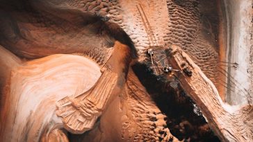 The Environmental Impact of Fast Food Packaging