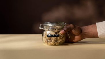 Are Meat Substitutes a Healthy Choice