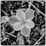 Daily Habits That Improve Your Mood