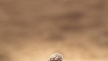 Daily practices for a positive mindset