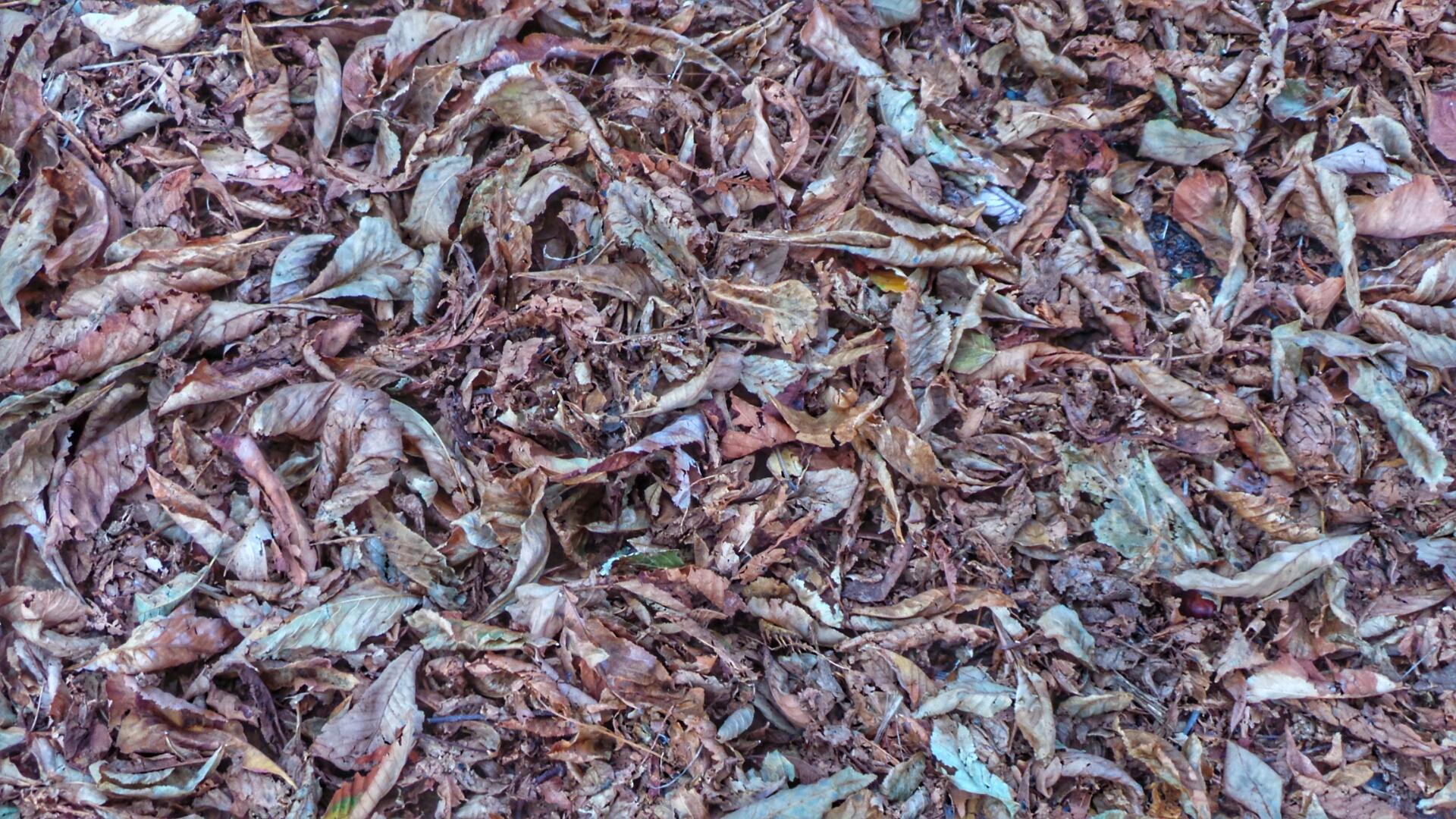 Secrets ⁢to ⁢Achieving the Ideal Burger Texture