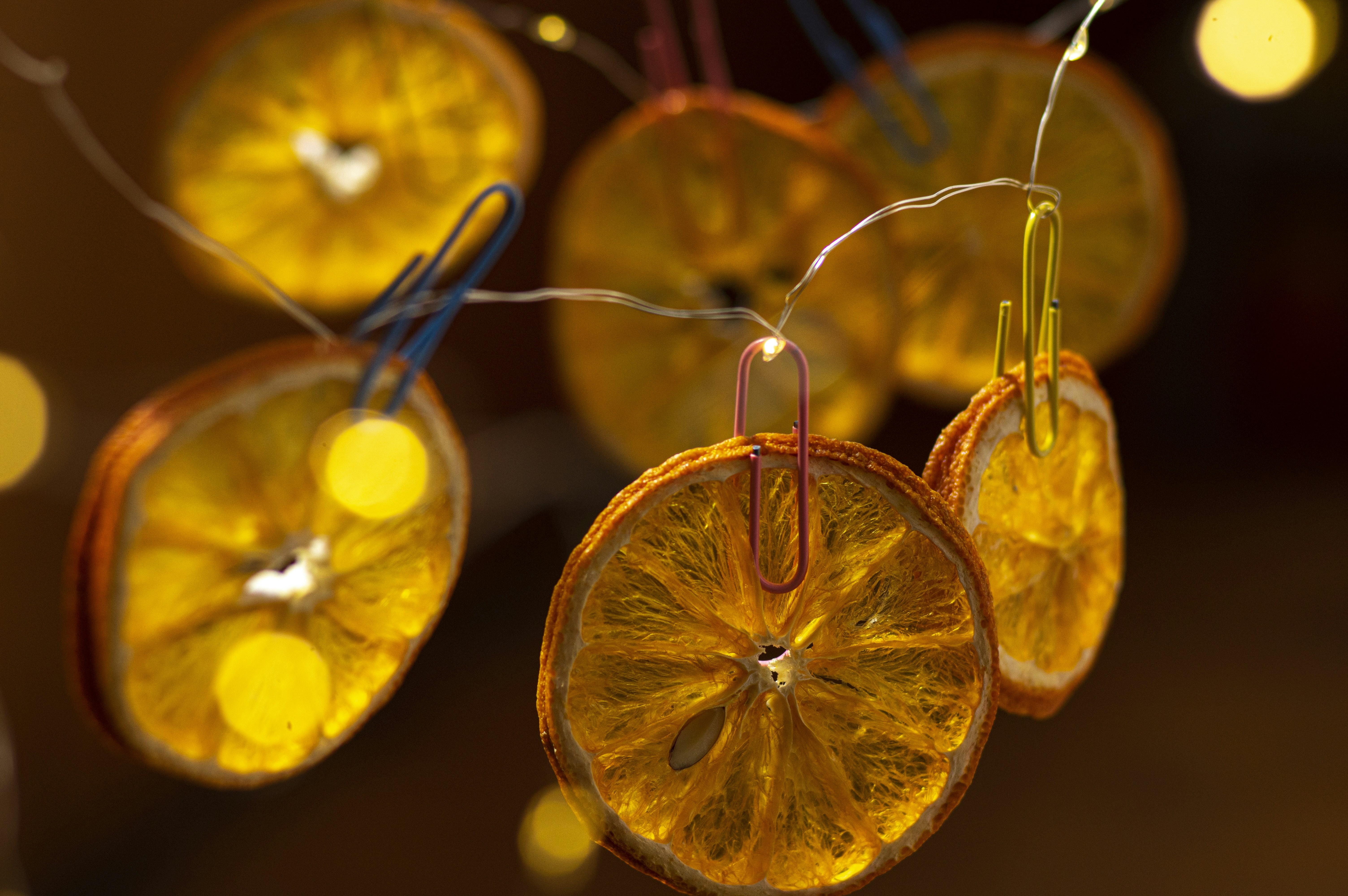 Understanding the Science Behind Detox Diets