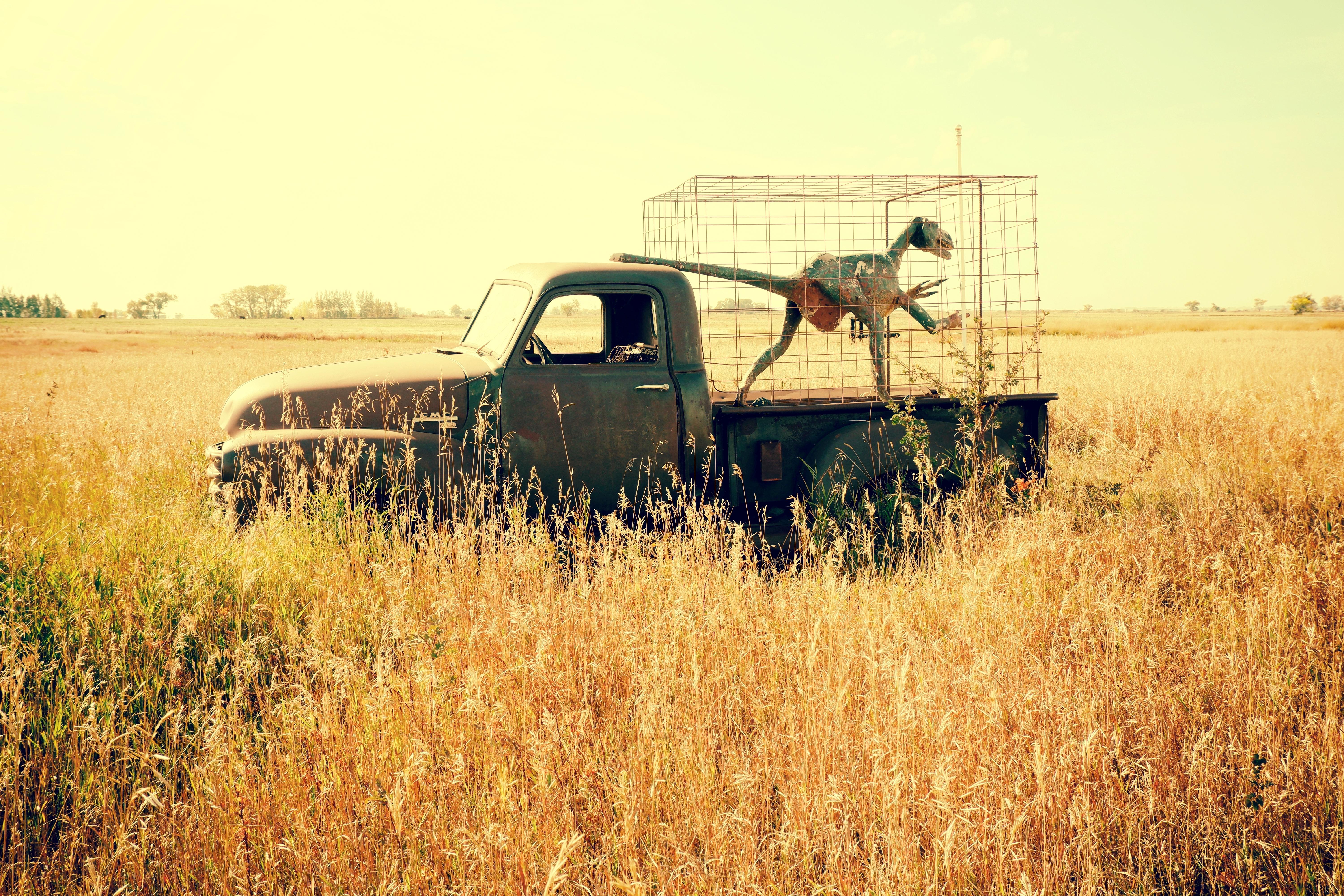 Consumer Acceptance: Strategies to Foster Trust and Adoption