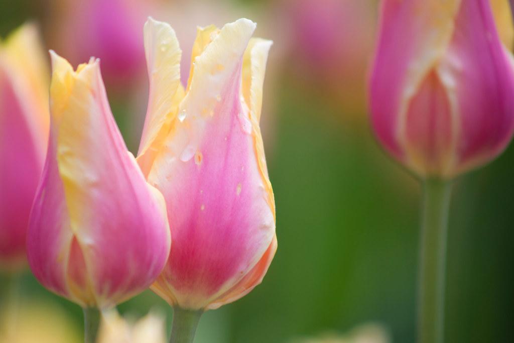 Nourishing the Mind: Techniques for Mental Unwinding