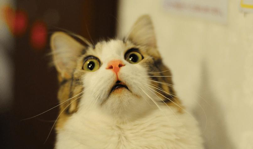 Hydration Habits that Promote Digestive Efficiency