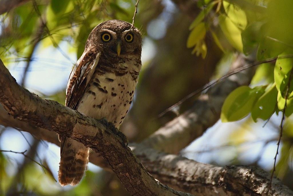 Creative Solutions for Active Living