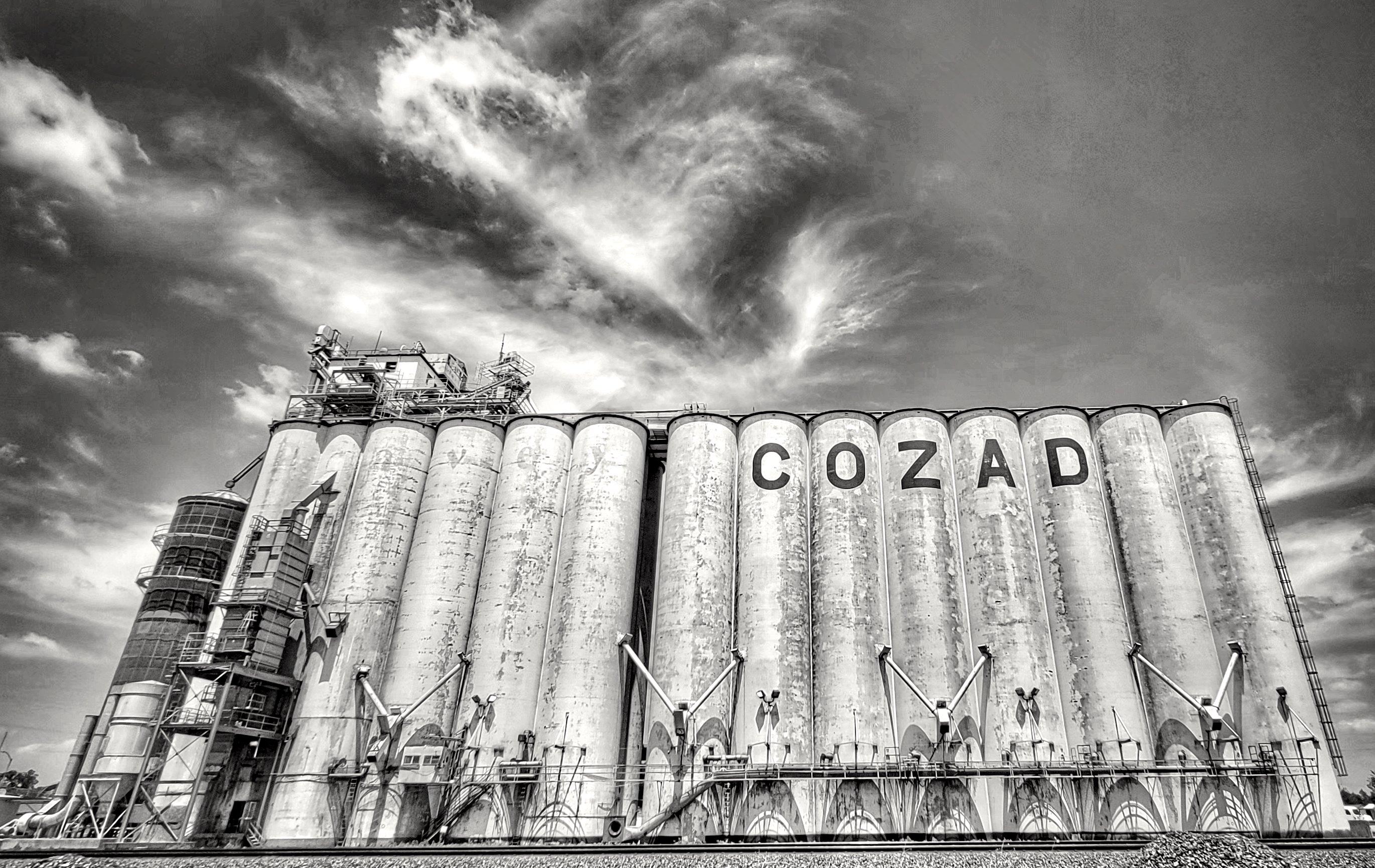 Tips for Selecting the Perfect Cut of Beef