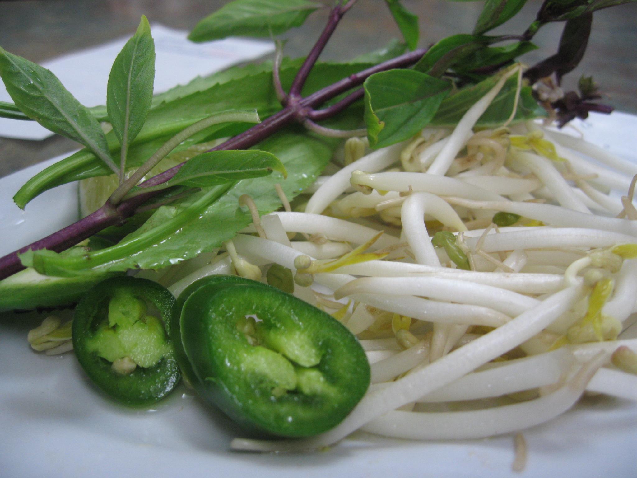 Vegetable and Protein Pairings for Nutrient-Rich Toppings