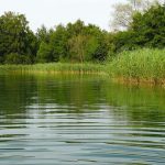 Water Cleansers – Exactly How Safe is the Water You Consume?
Water Pur …