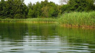 Water Cleansers – Exactly How Safe is the Water You Consume?
Water Pur …