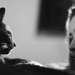 Taking Care Of Pet Cats