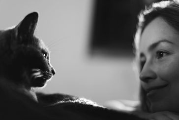 Taking Care Of Pet Cats
