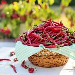 Dish: LuAnn’s White Chili with Hominy